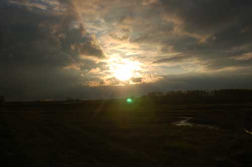 sunset